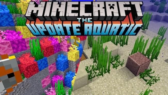 Minecraft Tout Ce Qu Il Faut Savoir Sur L Aquatic Update En Version 1 13 De Java