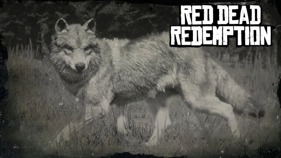 D fi Grand Chasseur Red Dead Redemption O trouver les animaux