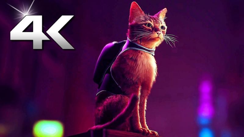 STRAY Bande Annonce 4K (2021) PS5