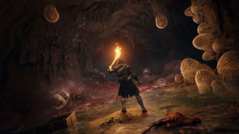 Elden Ring : Hidetaka Miyazaki donne une tonne de détails - Next Stage