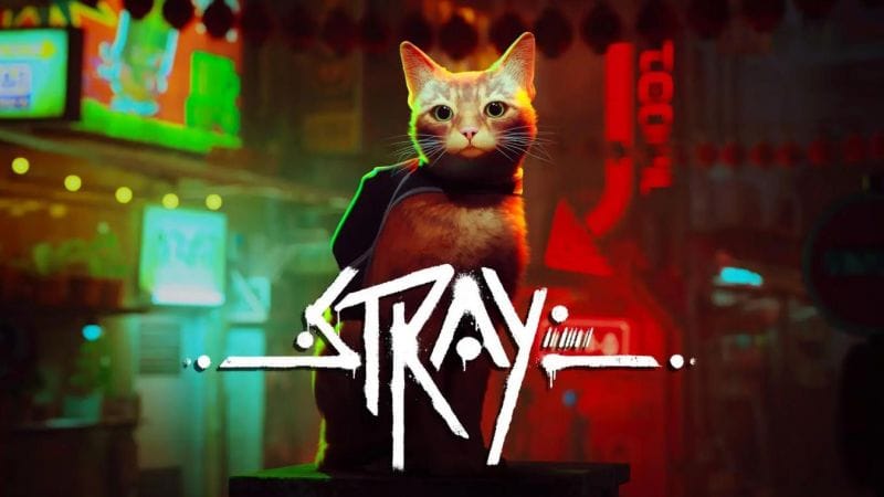 Découverte de Stray ce soir en Live