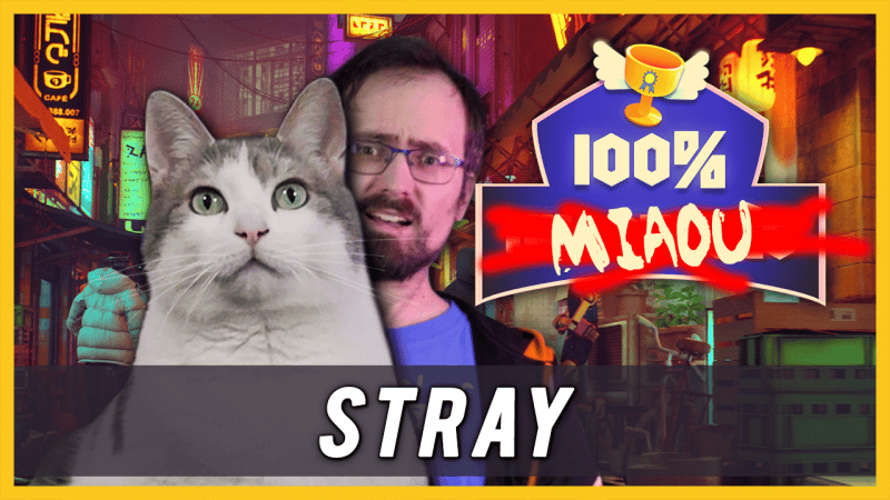 100% un succès - STRAY