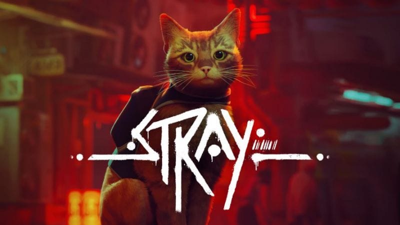 Stray va lui aussi être adapté en film d'animation, Annapurna Animation est en charge du projet