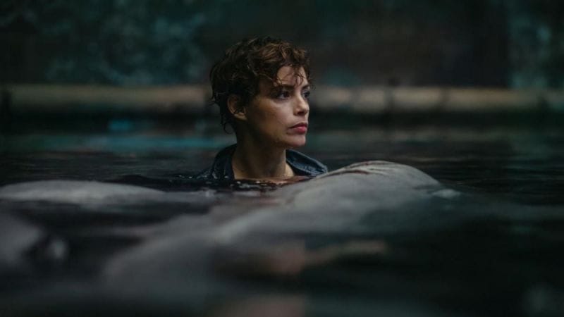 Un requin qui sème la terreur dans la Seine ? C'est le pitch de ce nouveau film d'horreur français sur Netflix