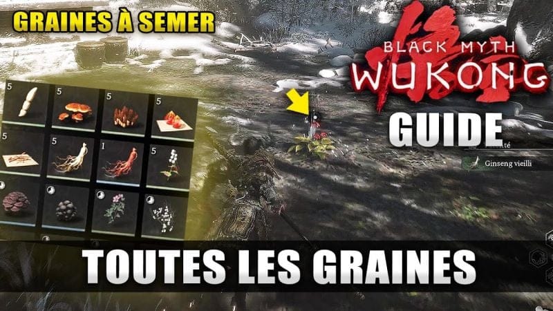 Black Myth Wukong : Toutes les GRAINES (Emplacements Plantes) GUIDE 🏆 Graines à Semer Chen Loong