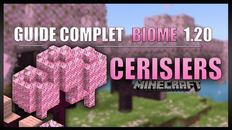 Le guide ULTIME sur les CERISIERS en 1.20 sur Minecraft en SURVIE ! [Nouveau Biome, Pétales, ...]