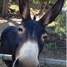 photo de profil de zouzouland