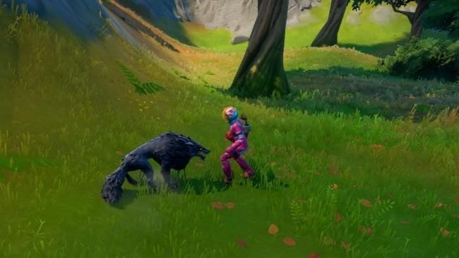 Obtenir un croc de loup, une défense de sanglier et trois plumes de poule pour Raz, quêtes de Tarana (défis de la Flèche) - Fortnite - GAMEWAVE