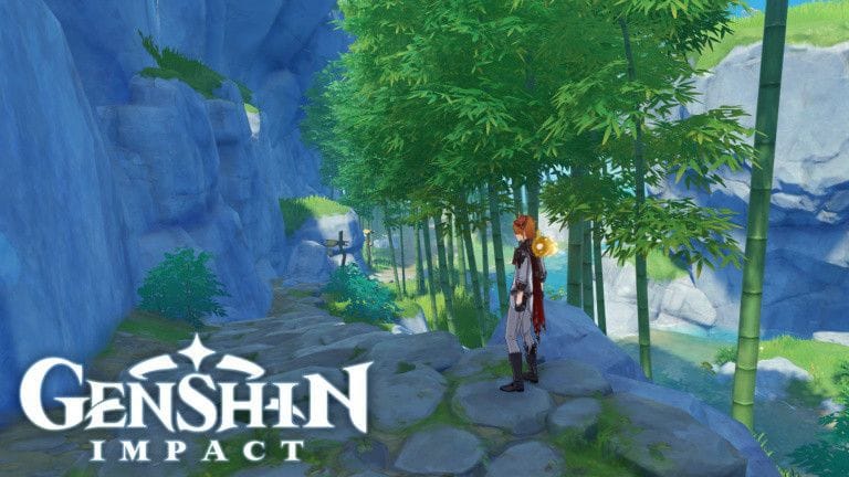 Genshin Impact, comment farmer un maximum de bois en peu de temps, les meilleures routes