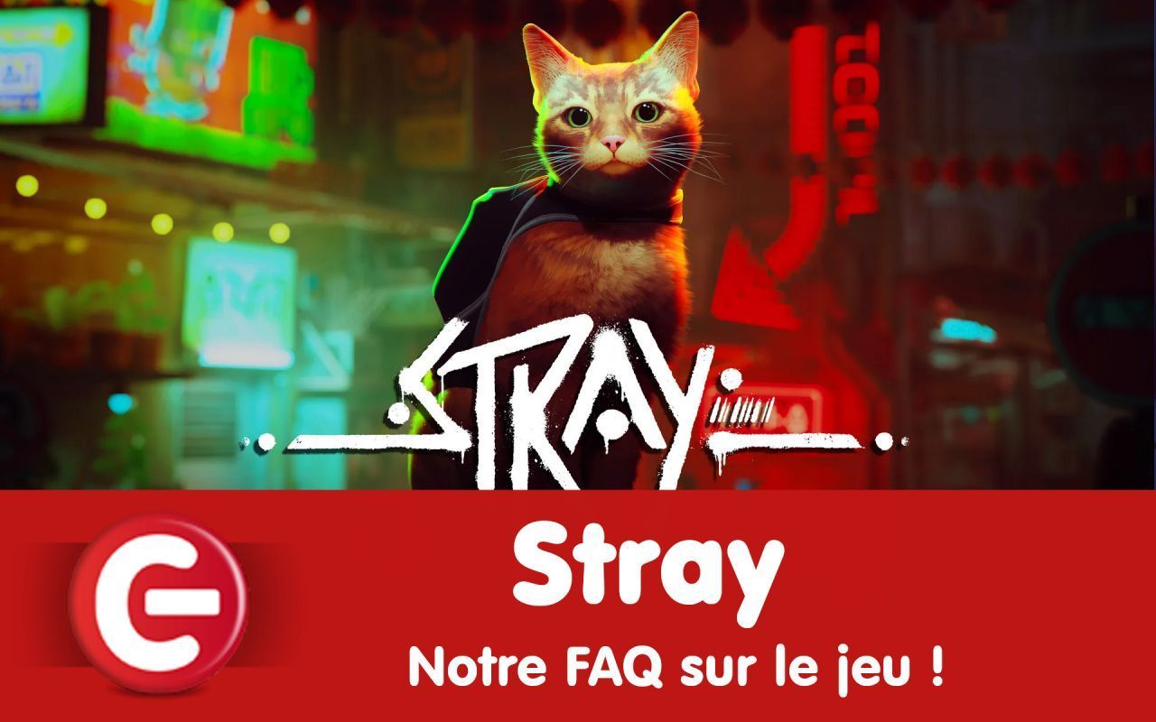 Stray : Notre FAQ sur le jeu !