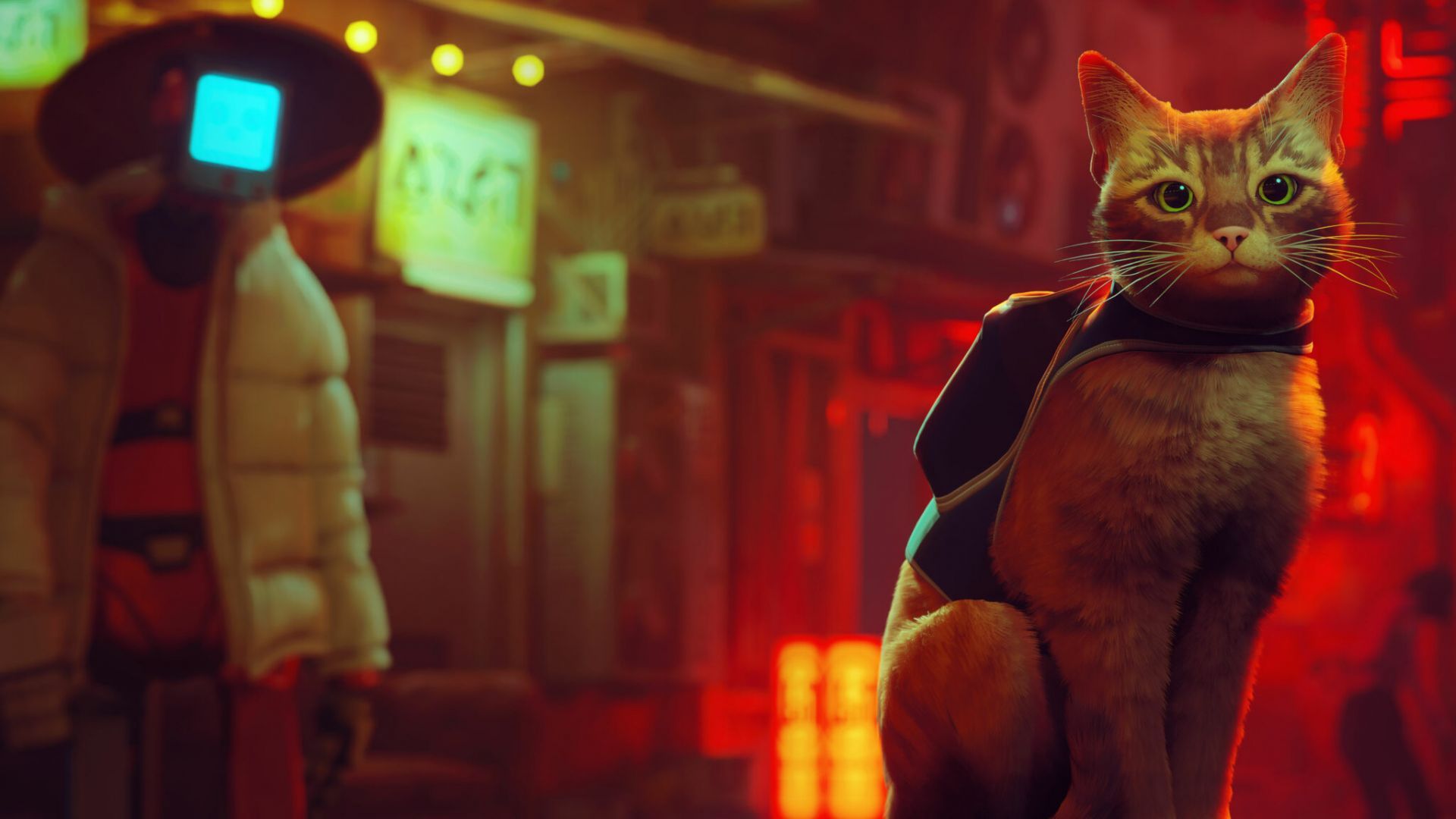 Stray - Le chat vivra sa seconde vie en film d'animation