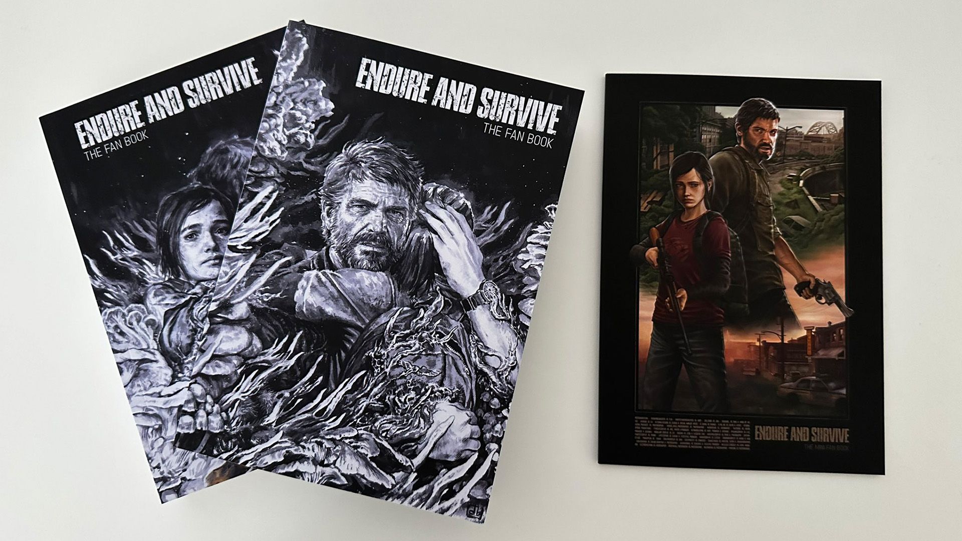 Endure and Survive: The Fan Book, l'amour des fans pour The Last of Us s'expose en livre - Naughty Dog Mag'