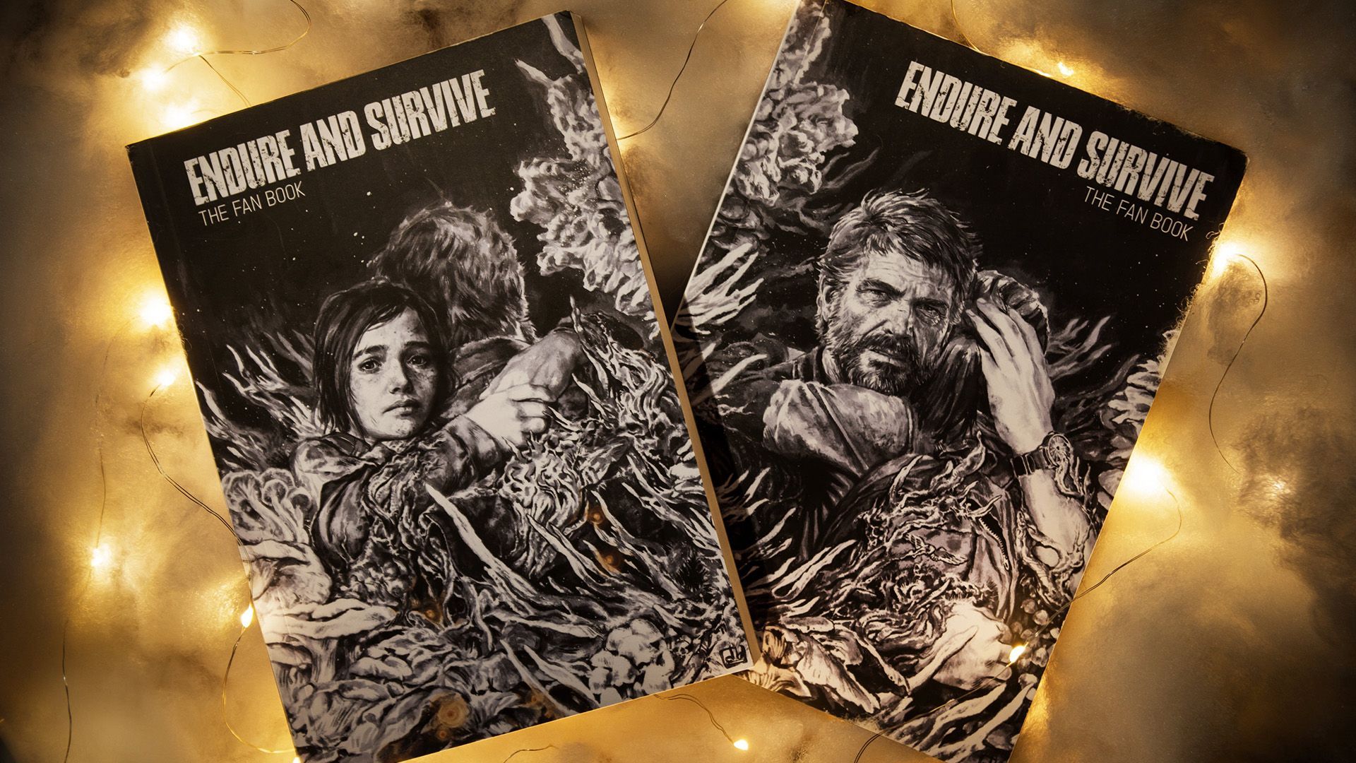 Le fan book Endure and Survive disponible gratuitement pour Noël