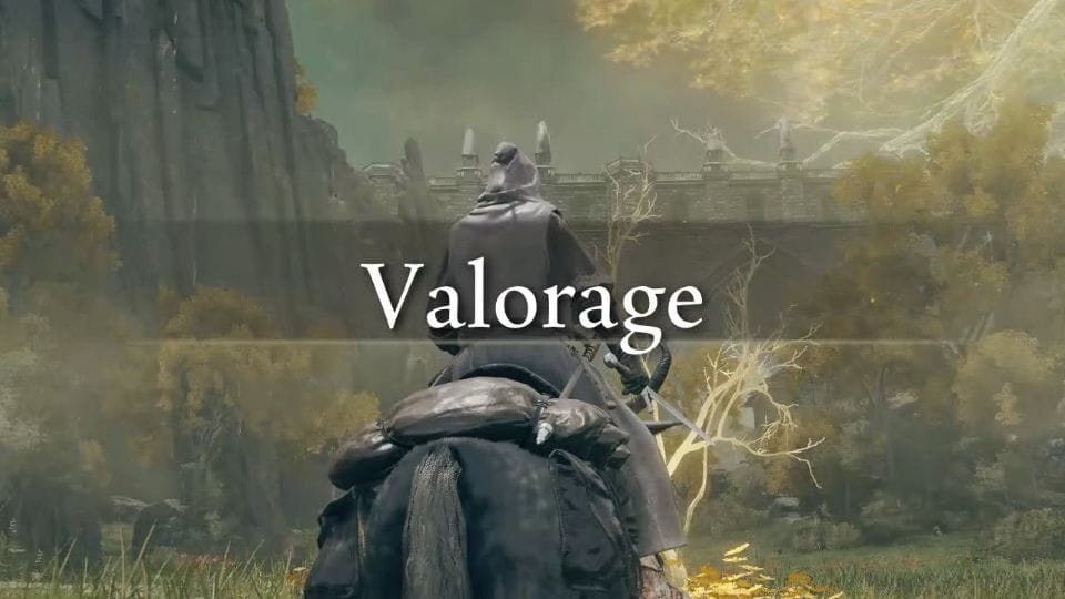 Valorage