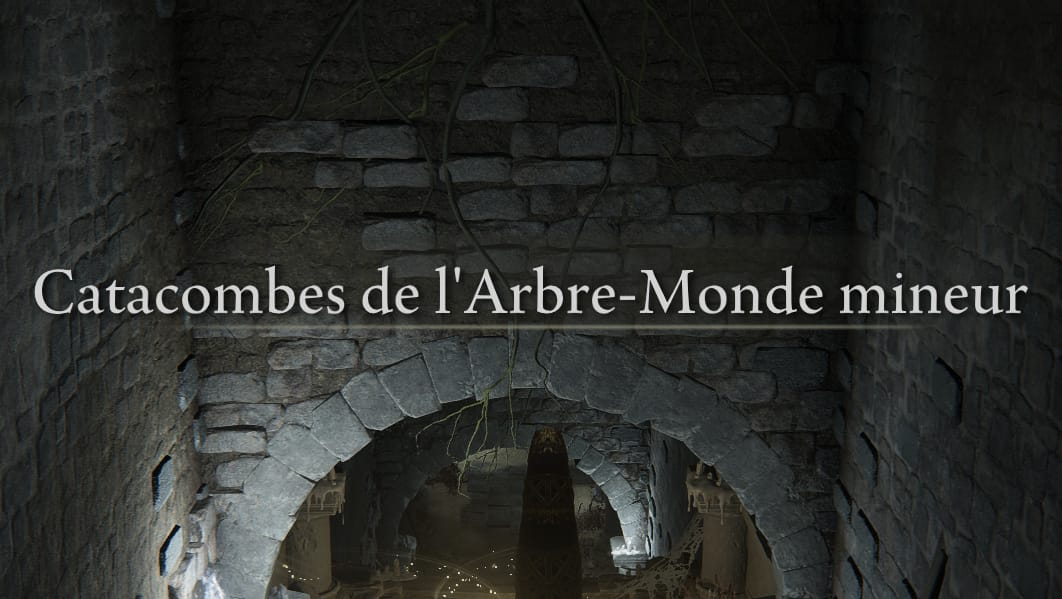 Catacombes de l'Arbre-Monde Mineur