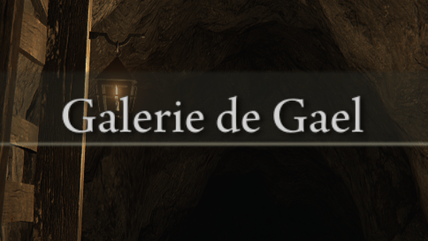 Galerie de Gael