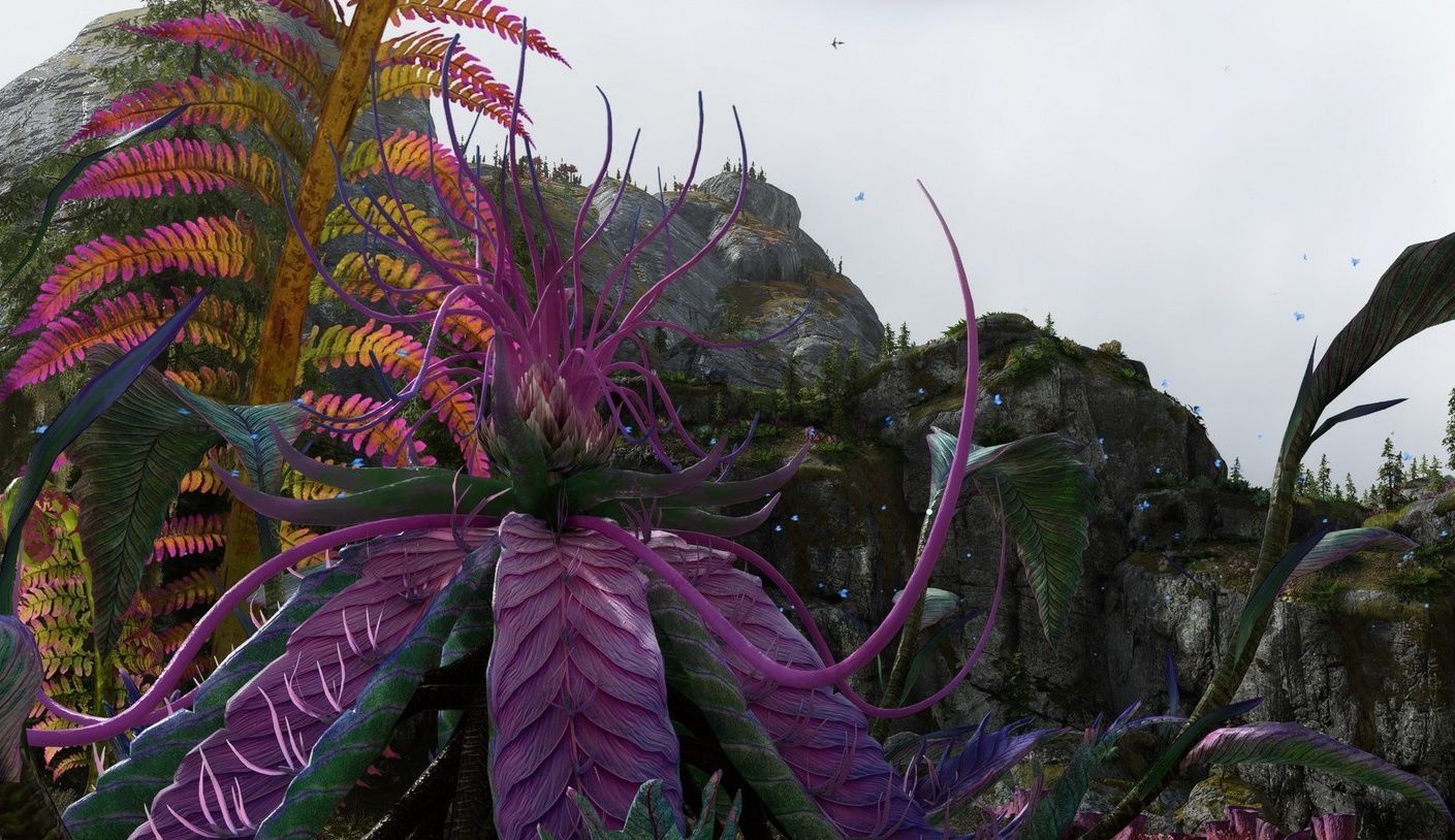 Fleurs de Tarsyu de la cascade de pierres