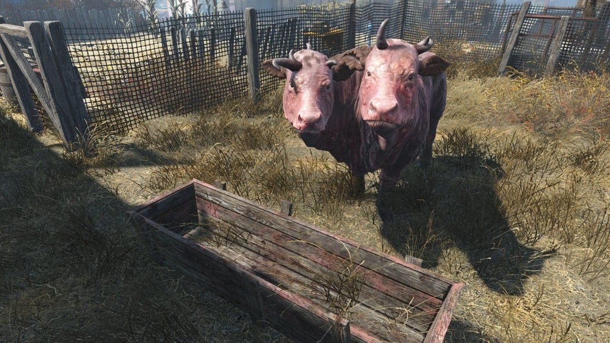 Engrais Fallout 4 : Comment obtenir du fertilisant pour vos cultures ?