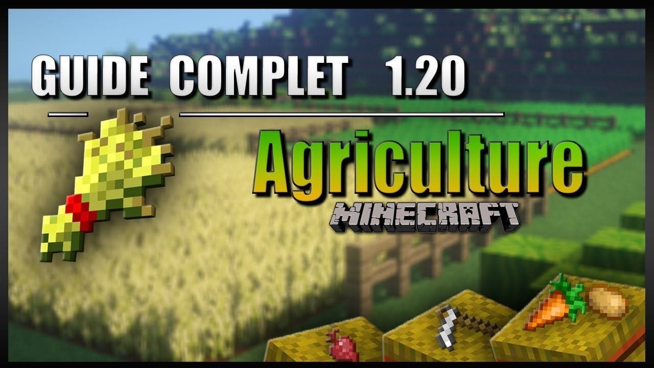 Le guide ULTIME sur l'AGRICULTURE en 1.20 sur Minecraft en SURVIE ! [Fermes, Lumière, Récolte, ...]